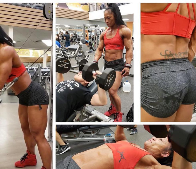 Ladies Shorts